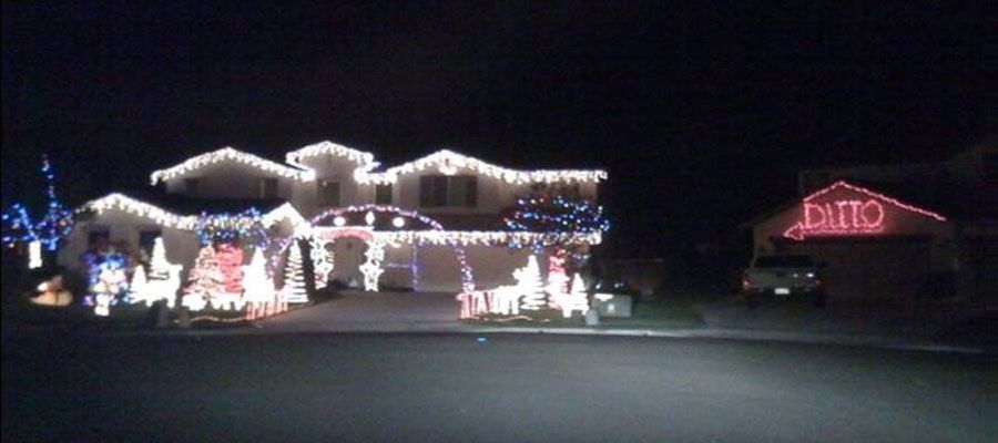 ditto christmas lights ditto christmas lights