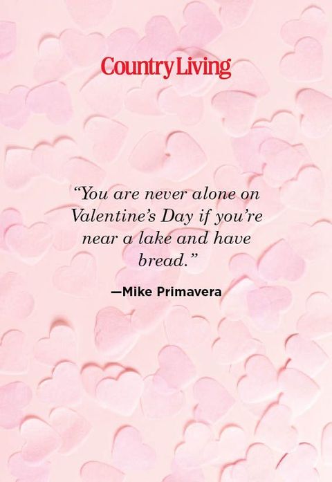 funny love quote from mike primavera