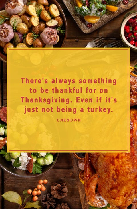 41 Funny Thanksgiving Quotes - Short and Happy Quotes About