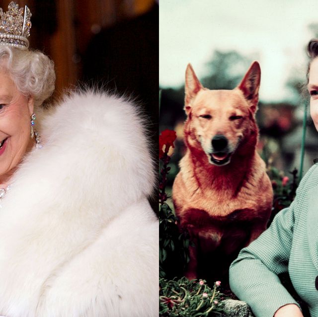 英國皇室對動物愛屋及烏 英國女王伊莉莎白二世宣布告別皮草