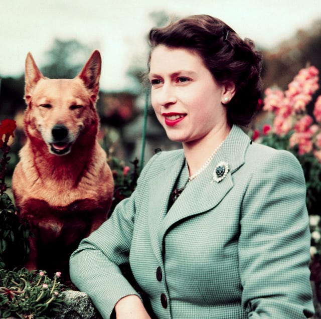 英國皇室對動物愛屋及烏 英國女王伊莉莎白二世宣布告別皮草 英國皇室對動物愛屋及烏 英國女王伊莉莎白二世宣布告別皮草