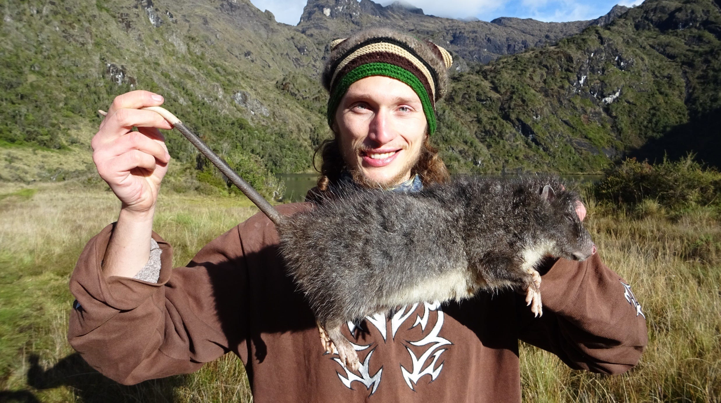 A Mysterious Rat Vanished Into the Mountains in 1989. It Just Showed Its Face for the First Time Since.