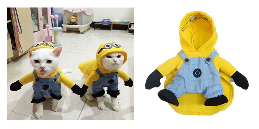 minion costumes for cats
