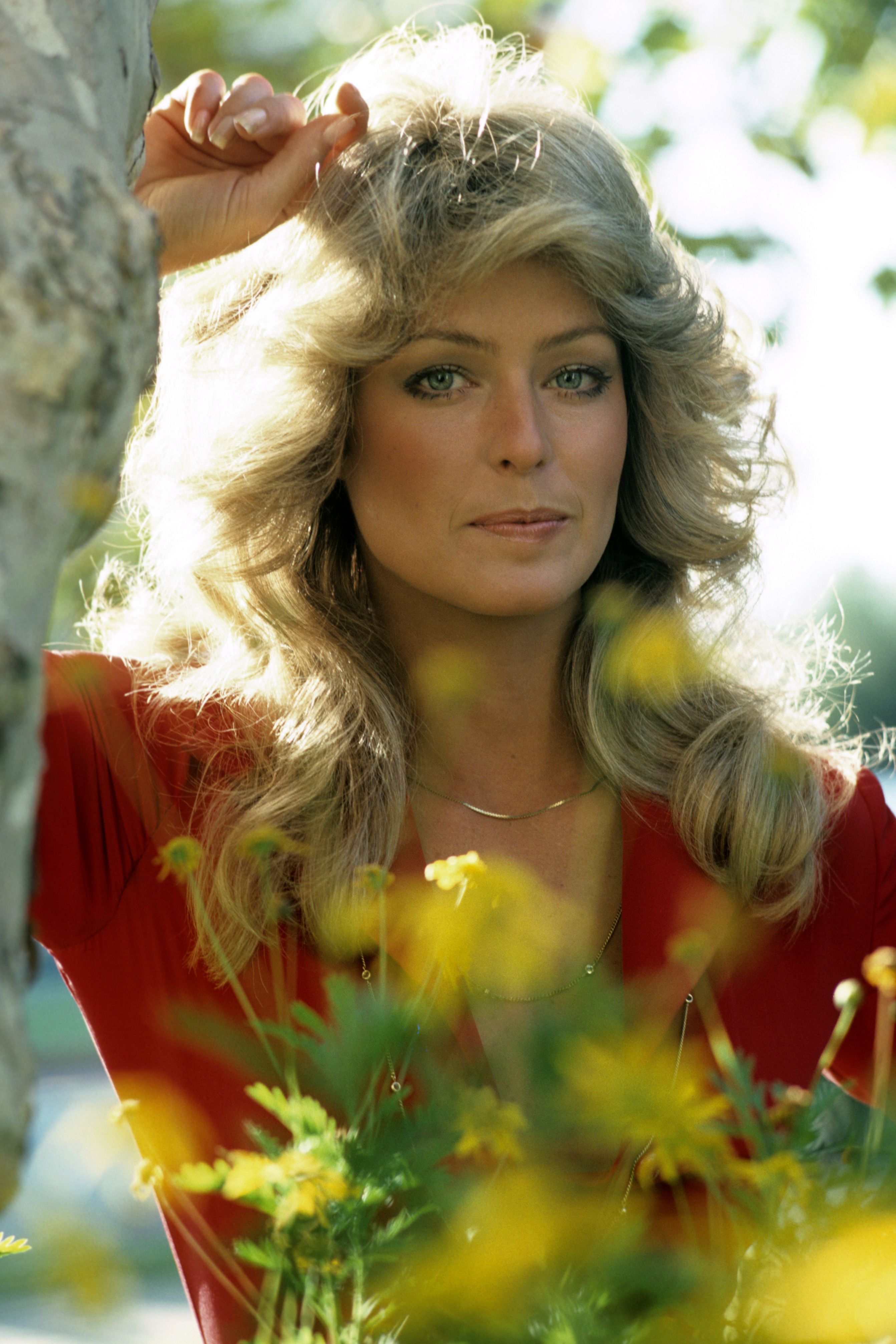 FARRAH FAWCETT YOUNG GLOSSY PICTURE 8x10 PHOTO 