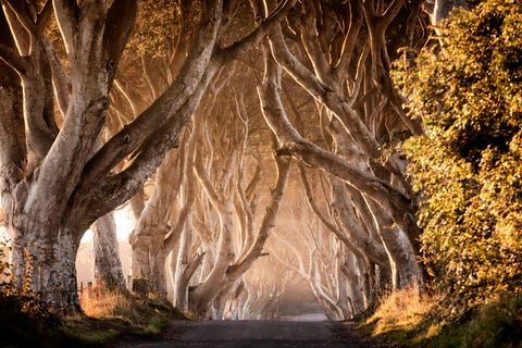 ireland, game of thrones, northern ireland, travel, tv series