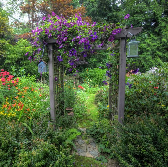 garden and path arbor, colors of summer