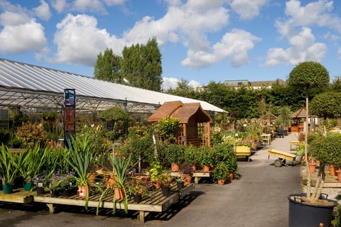 garden centre in knutsford, cheshire, uk