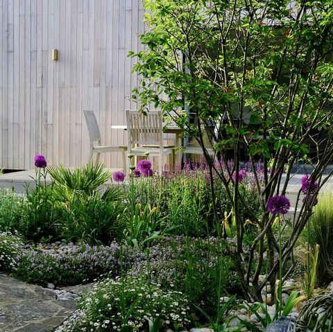Le jardin 'Samphire' de Sue Townsend, lauréat du prix Beth Chatto du meilleur jardin écologique