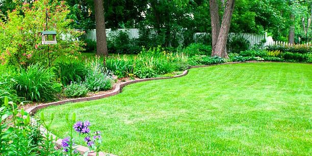 15 Best Garden Edging Ideas for the Most Beautiful Landscaping