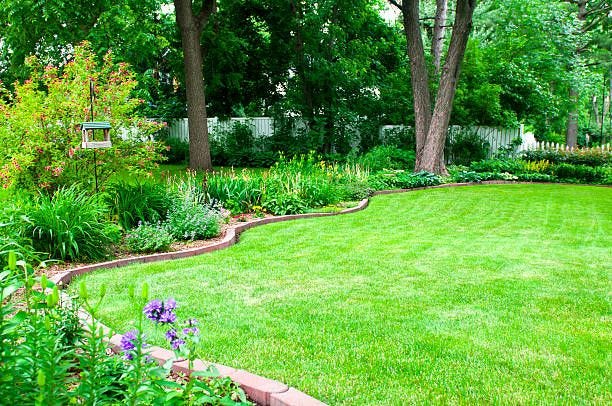 landscaping with rock borders