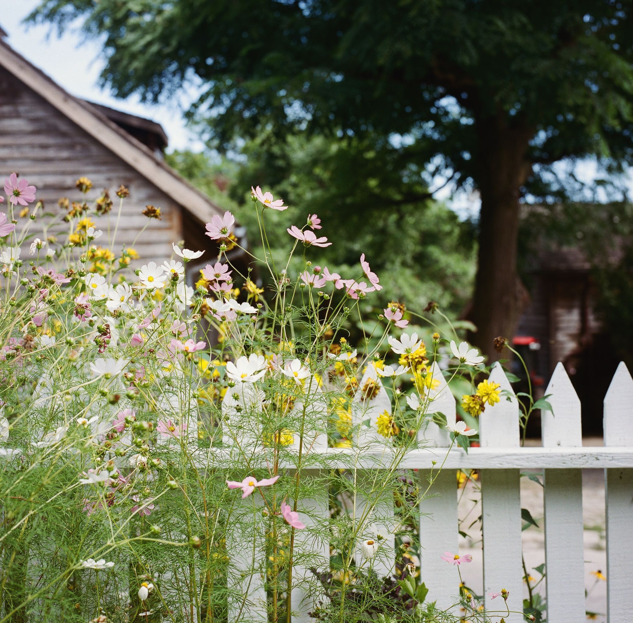 19 Practical And Pretty Garden Fence Ideas Best Materials To