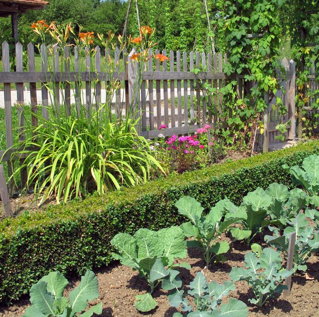 20 Best Garden Fence Ideas Diffe, Vegetable Garden Fence Ideas Rabbits