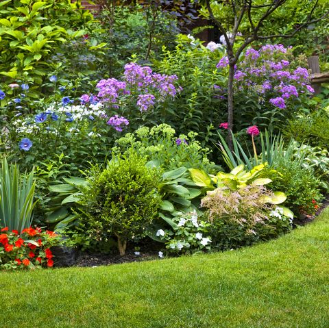 lush landscaped garden with flowerbed and colourful plants