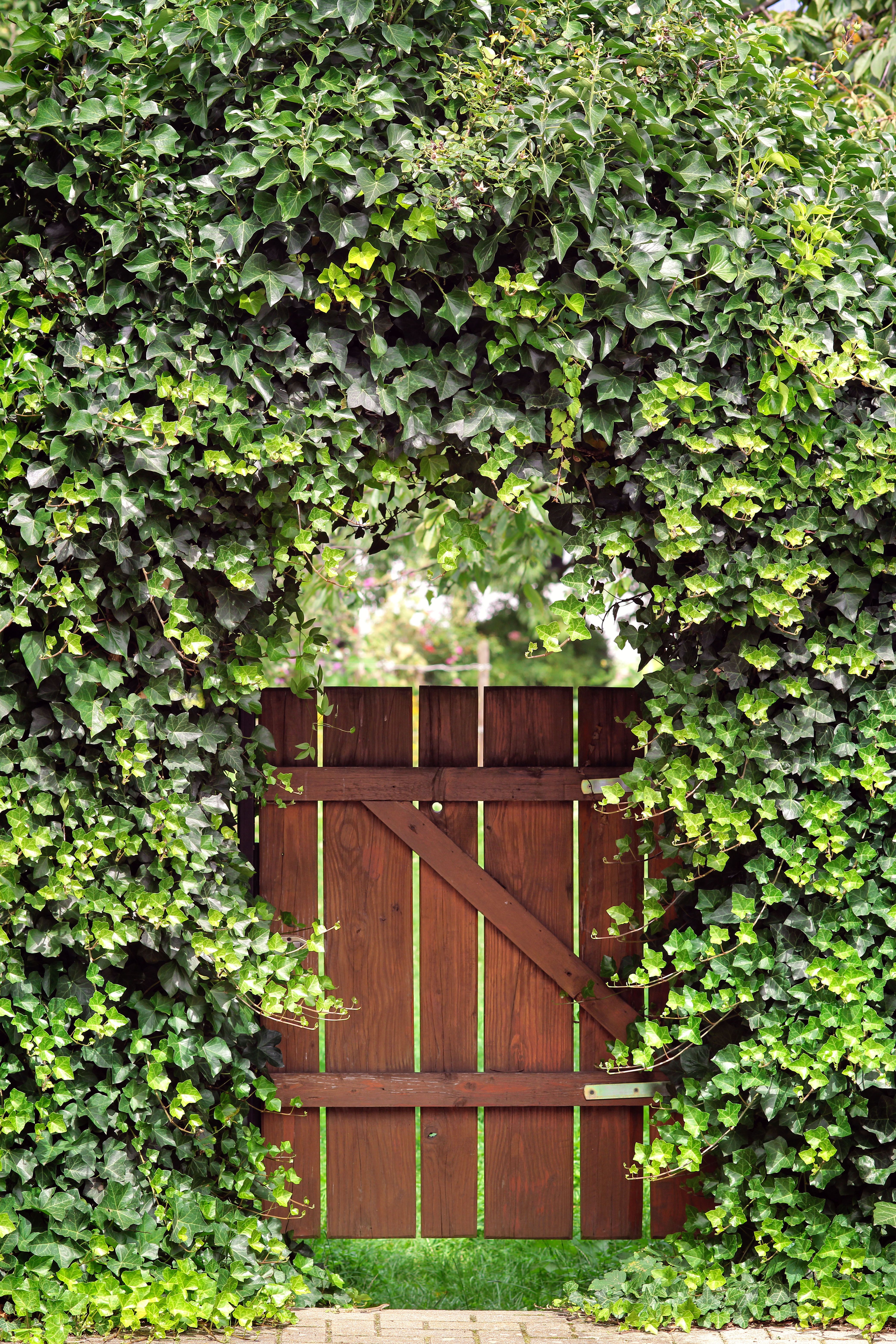 Garden Door & Headboard Gate