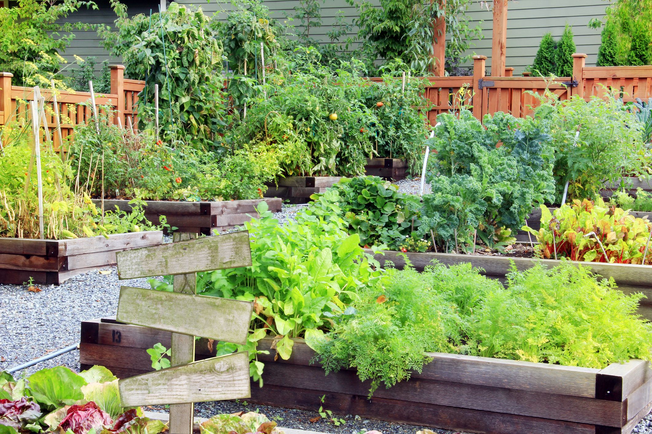 20 Free Garden Design Ideas And Plans Best Garden Layouts