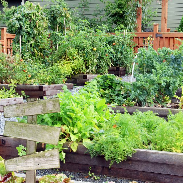 128 Backyard Garden Ideas Small Or Large