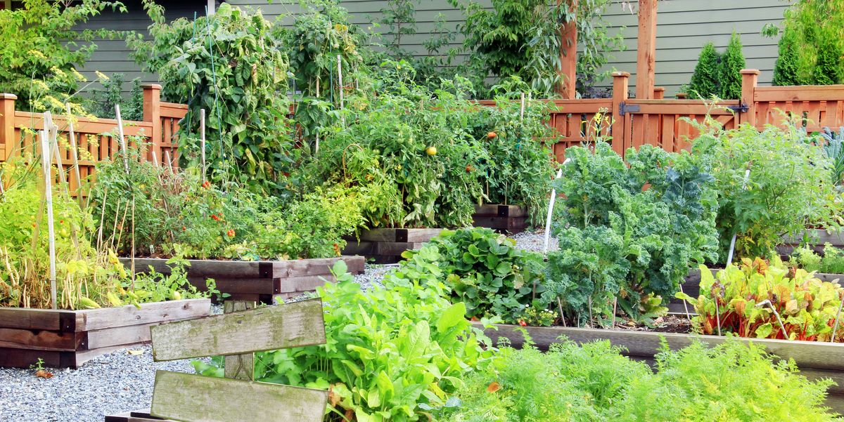 20 Free Garden Design Ideas And Plans Best Garden Layouts