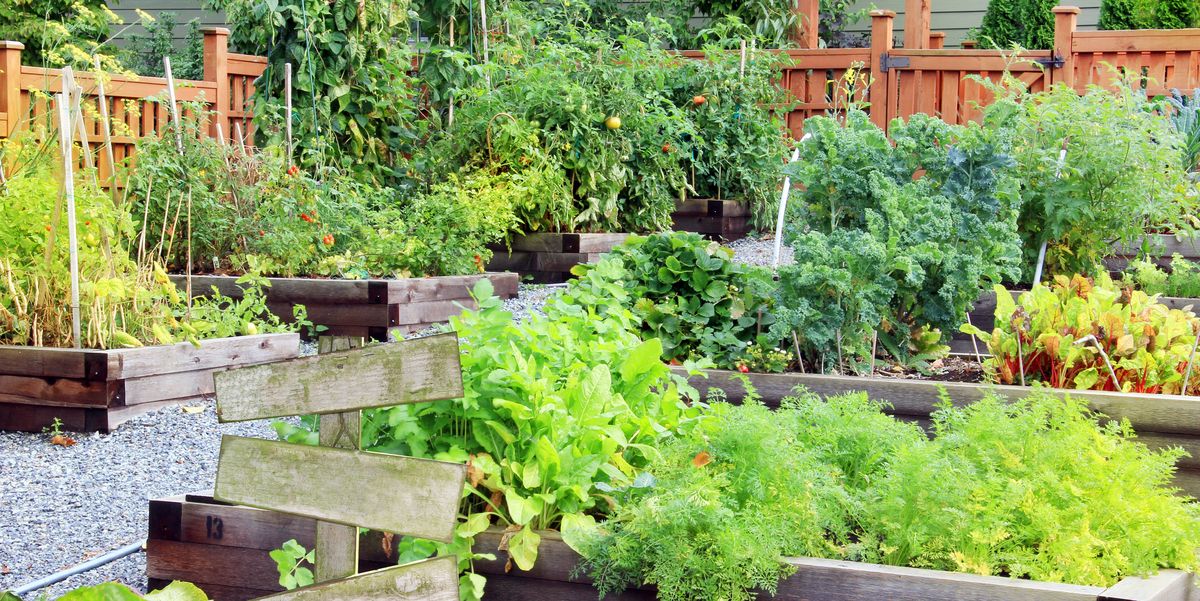 20 Free Garden Design Ideas and Plans - Best Garden Layouts
