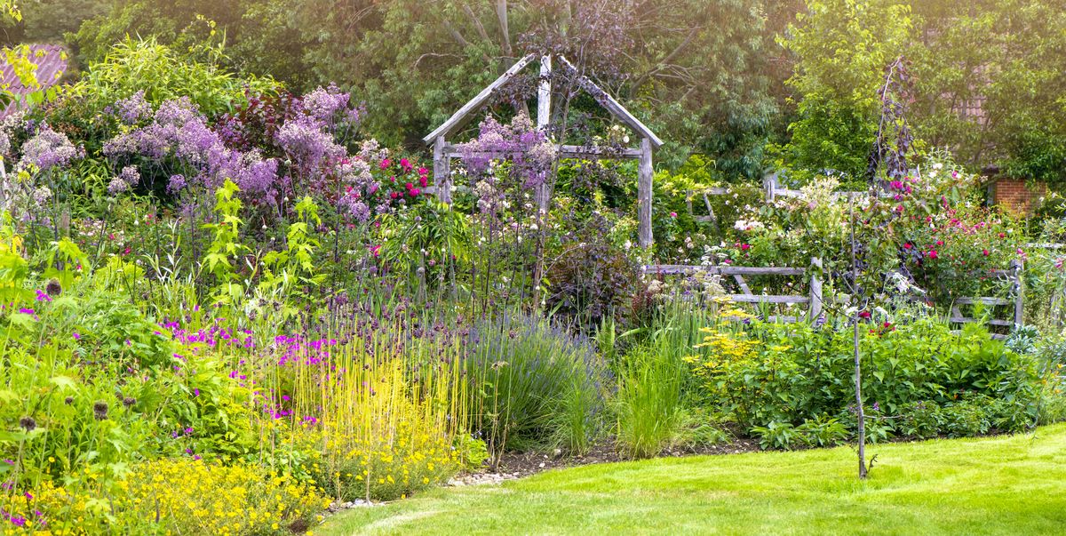 This Common Gardening Mistake Could Devalue Your Home