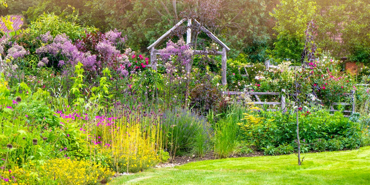 This Common Gardening Mistake Could Devalue Your Home