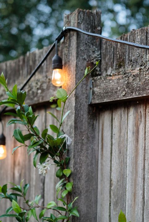small garden ideas   lights