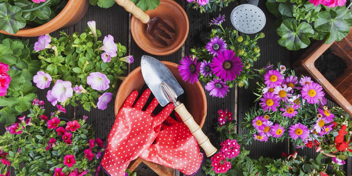 20 Best Gardening Tools 2022 Top, Tools For Gardening