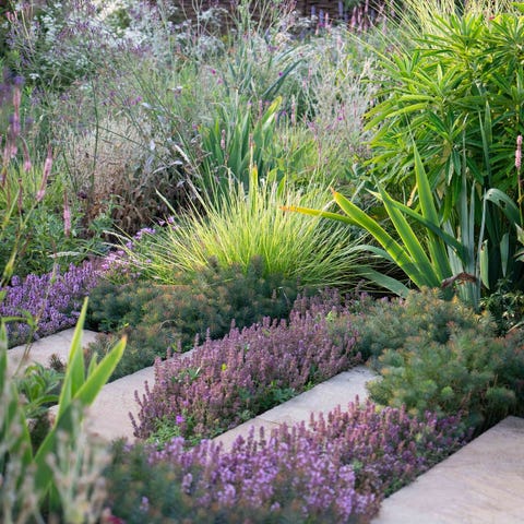 garden trends 2022 tapestry lawns