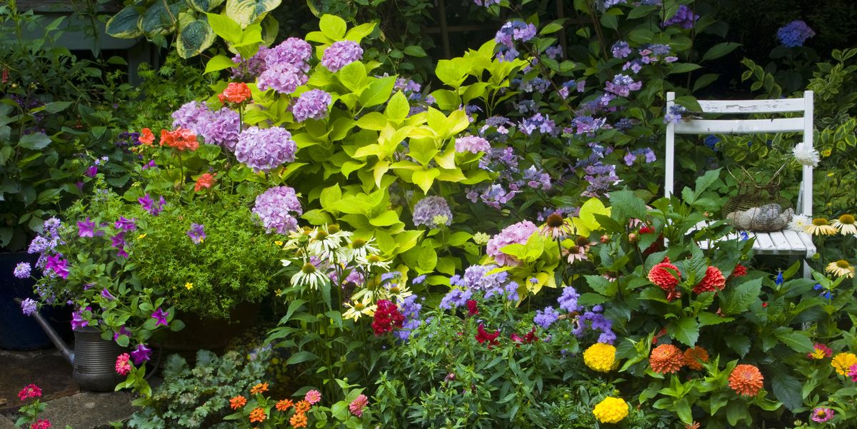 20 Free Garden Design Ideas and Plans - Best Garden Layouts