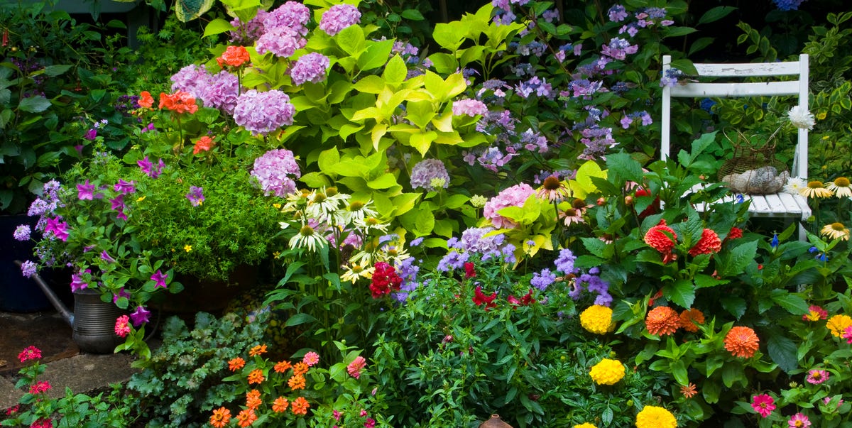 20 Free Garden Design Ideas and Plans