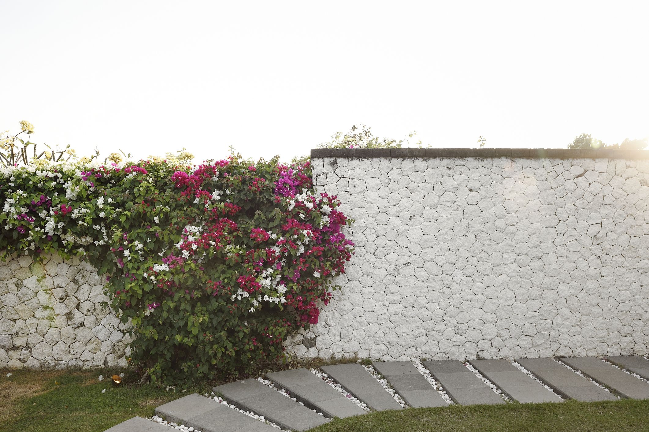 Cinder Block Garden Brick Wall Paint Ideas / Painting Concrete Block