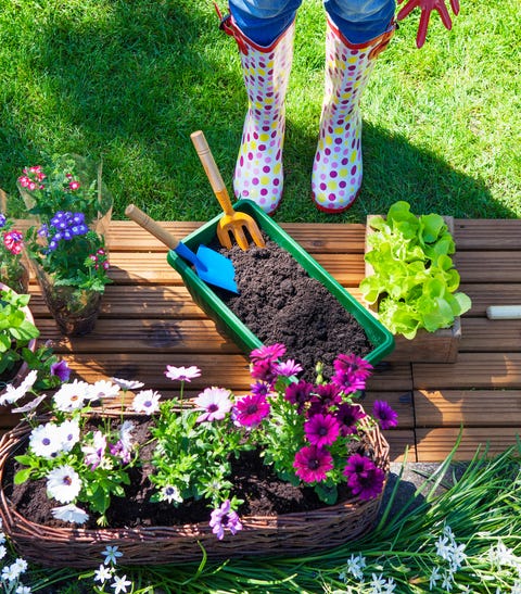 Gardening tools woman with gardening tools, flowers and pots