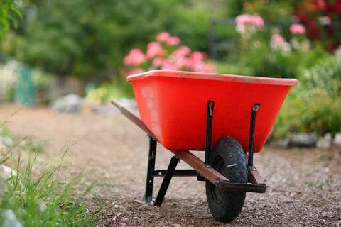 Wheelbarrow wheelbarrow