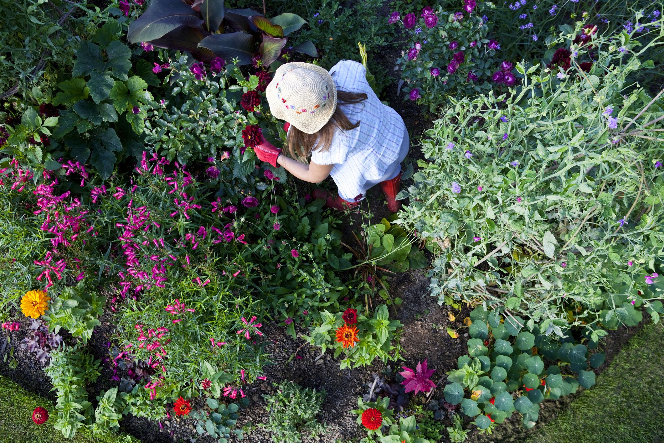 how to stop weeds in garden beds