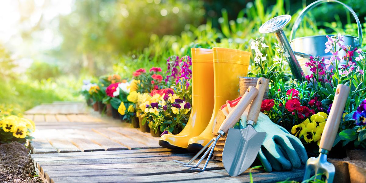 The Pros and Cons of Square Foot Gardening - What Is Square Foot Gardening?