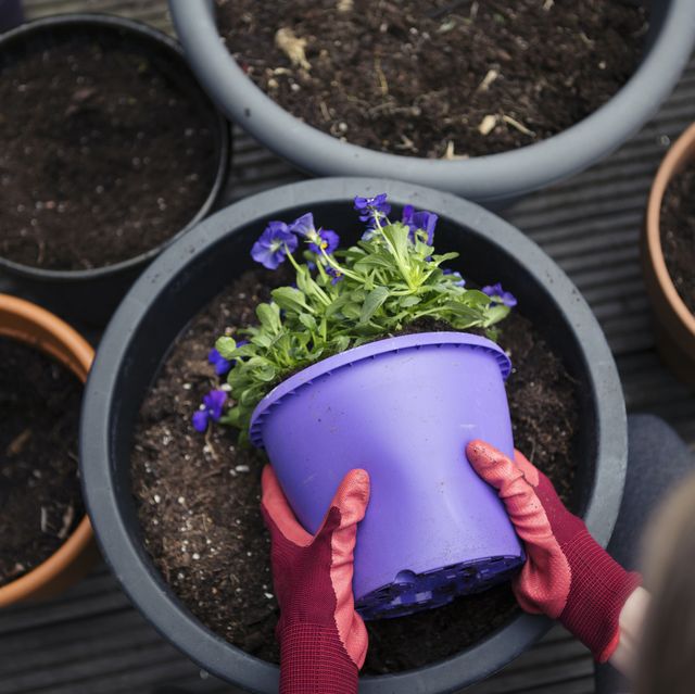 5 things brits dislike the most about gardening
