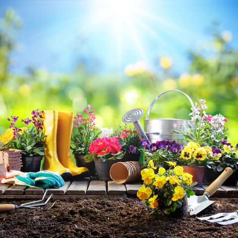 Gardening - Equipment For Gardener With Flowerpots