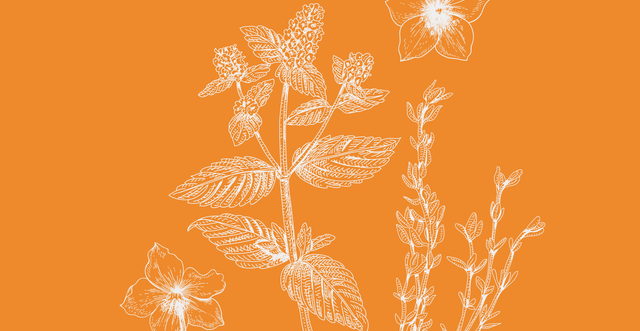 best perennials to grow in your garden best perennials to grow in your garden