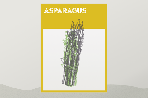 how to grow asparagus