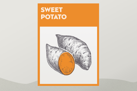 how to grow sweet potatoes