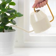 ikea watering can