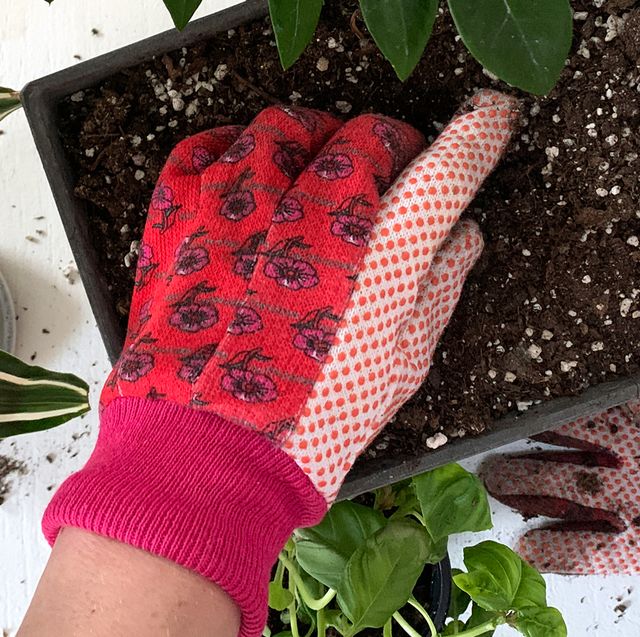 red gardening gloves digging into windowsill planter