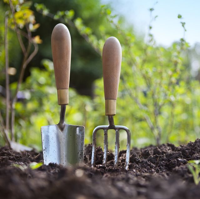 gardening hand trowel and fork standing in garden soil
