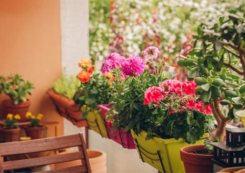 How To Create A Joyful Garden - Gardening To Boost Your Mood