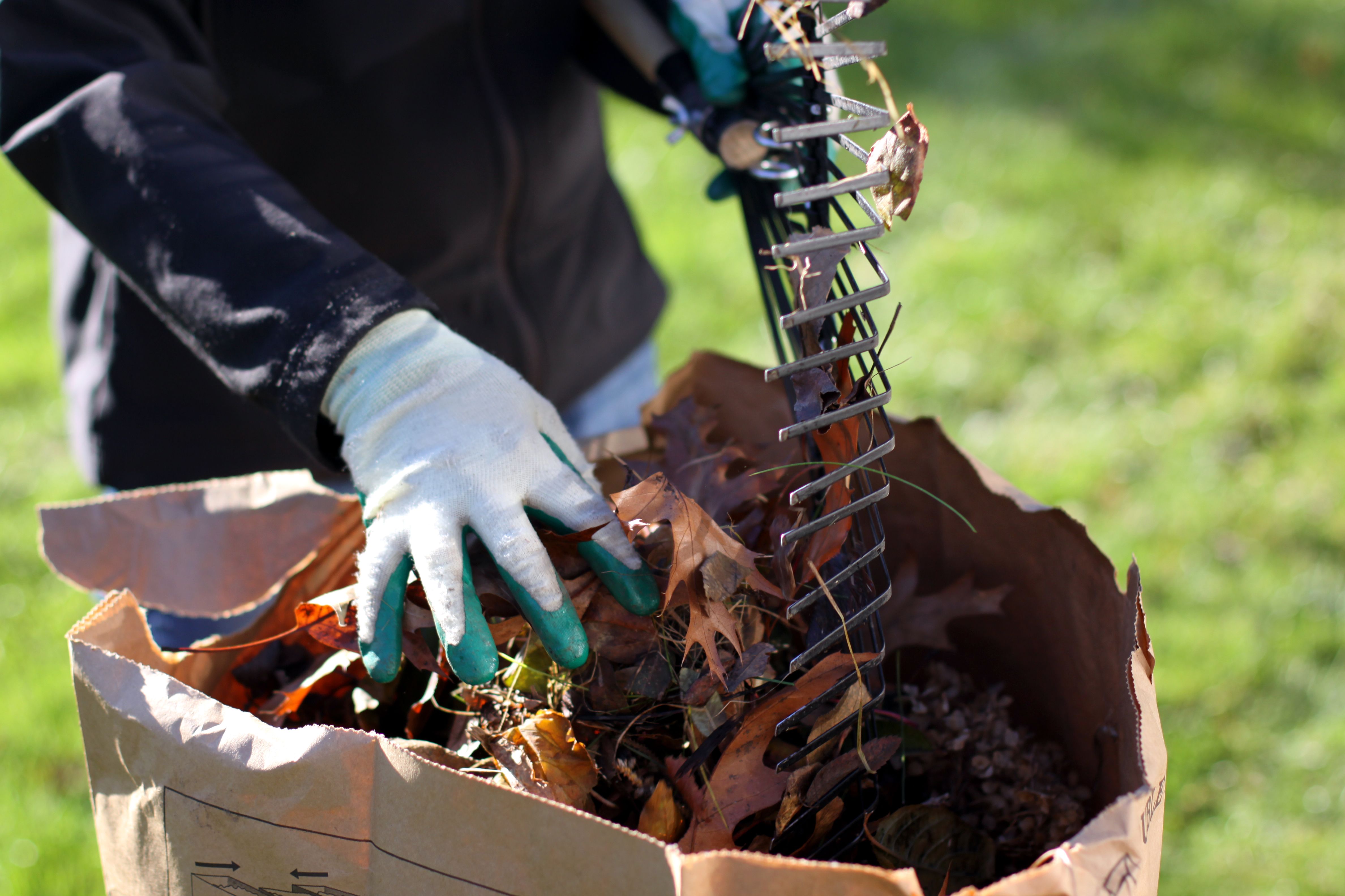 6 Compost Pile Mistakes You Re Making Composting Tips