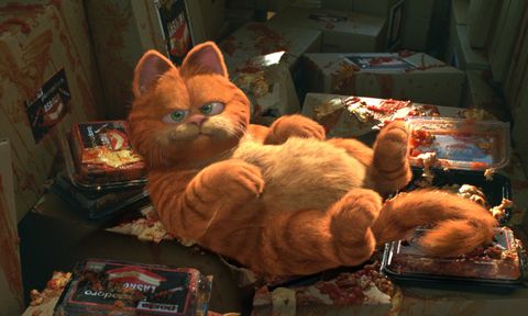 Garfield im Film Garfield 2004