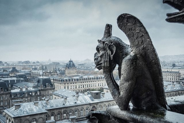 gargoyle of notre dame cathedral looking paris after the rain