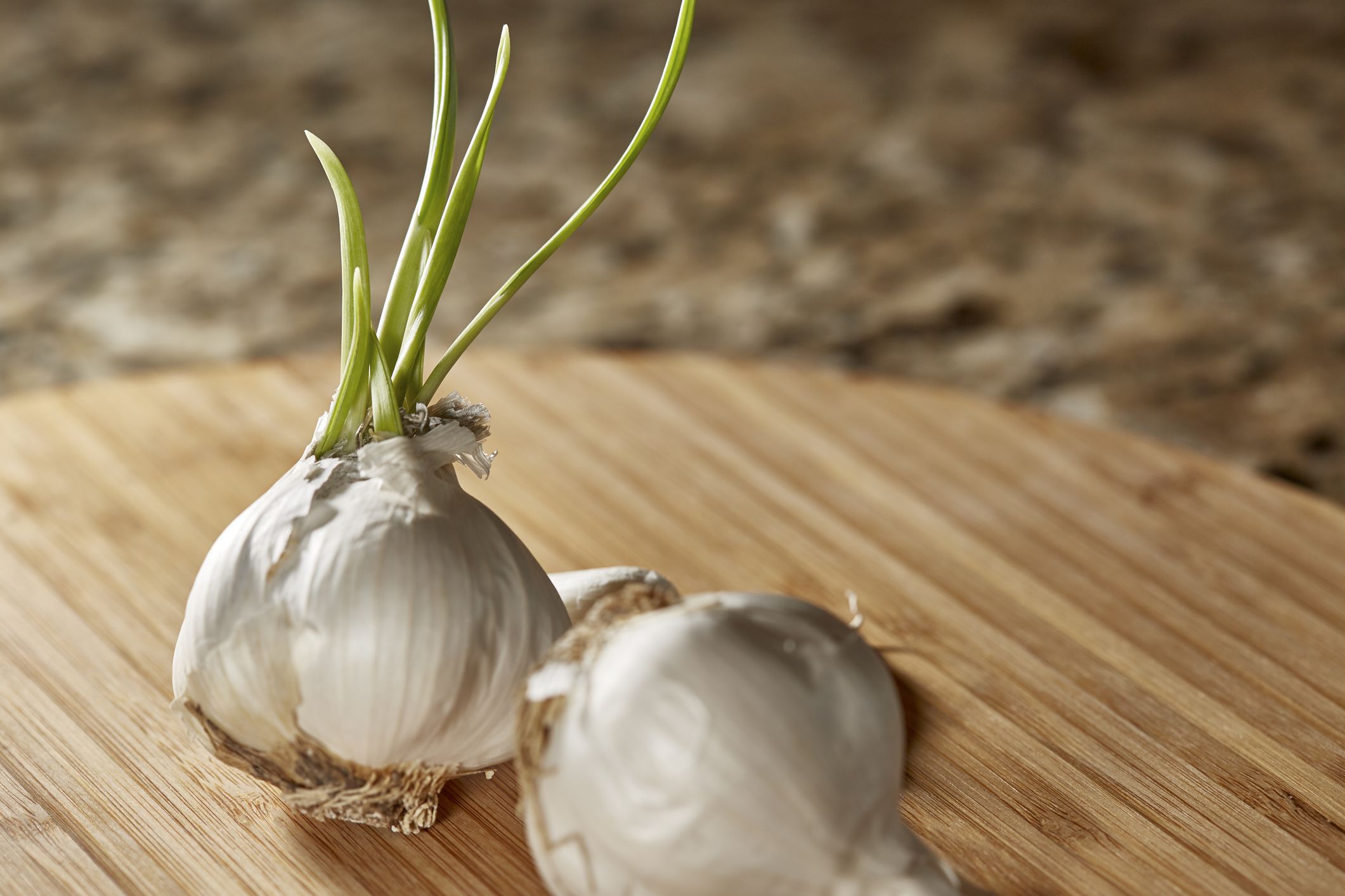 捨てないで 芽が生えたニンニクを食べるべき理由