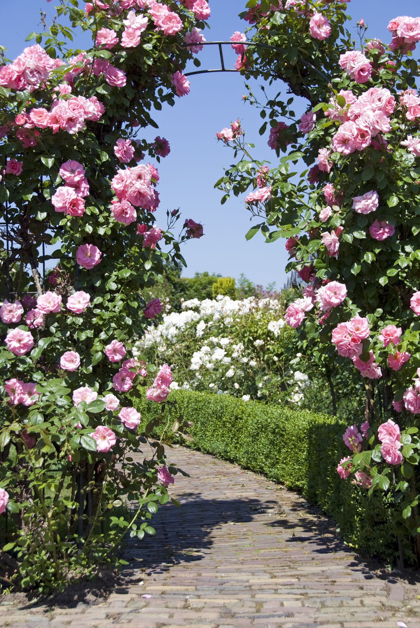 Metal Garden Arch Rose Arches Archway Entrance Garden Arbours & Arches