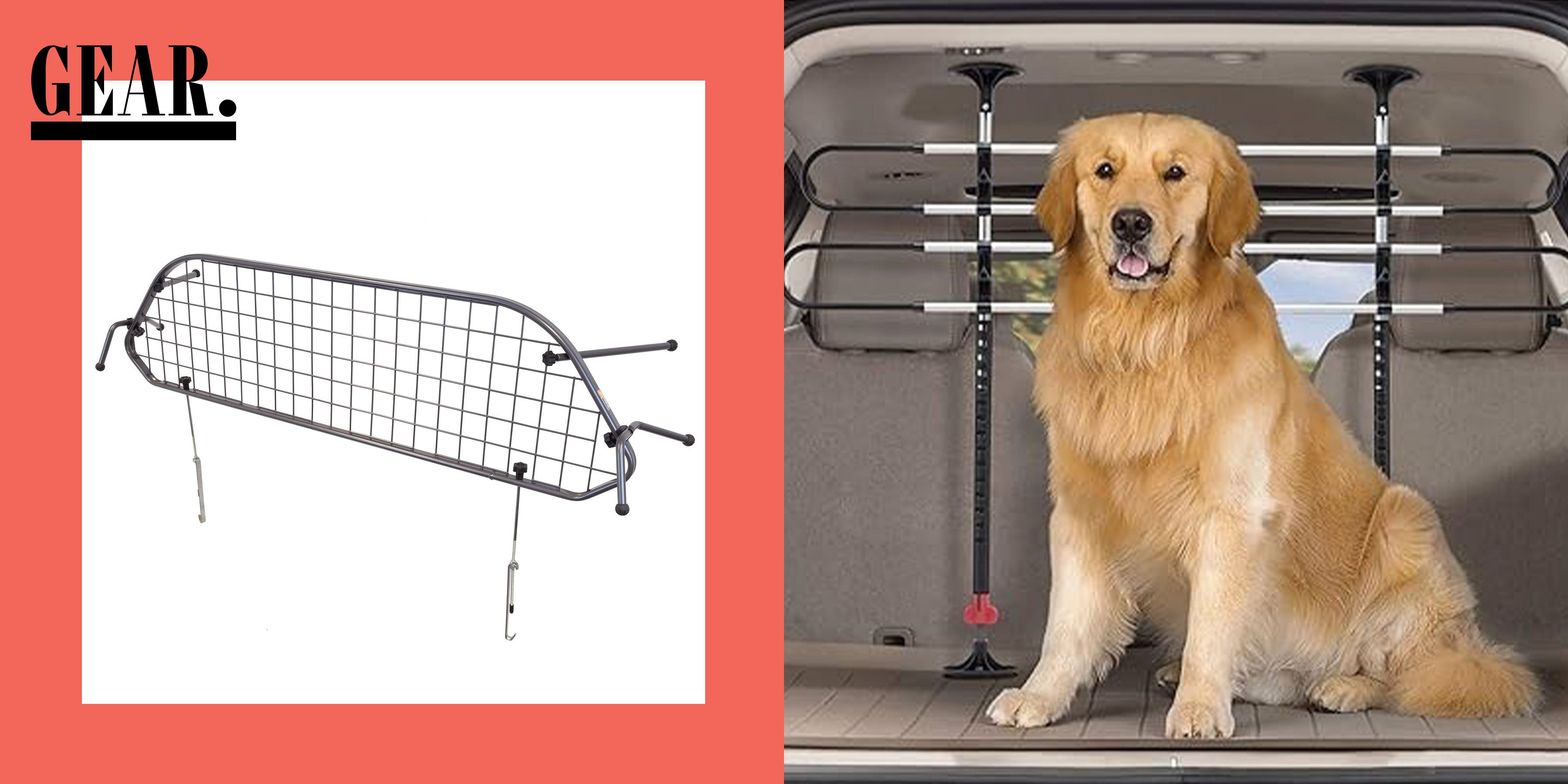 Hop In, Boy! The Best Dog Car Barriers and Dividers, Picked by Experts