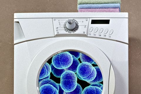 germs in laundry machine